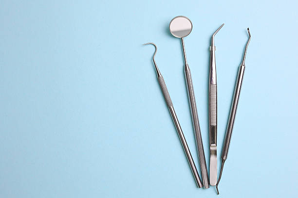 Top rated local Dental specialists in Trinity, FL